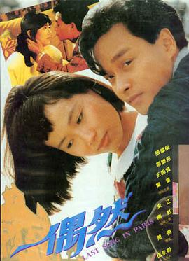 熊出没秋日团团转 收视夺冠